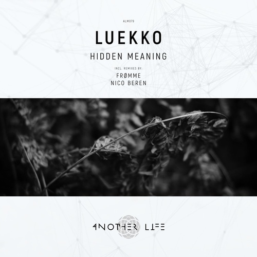 Luekko - Hidden Meaning [ALM079]